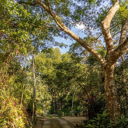 La Luciole Ecolodge Paraty Ngoại thất bức ảnh