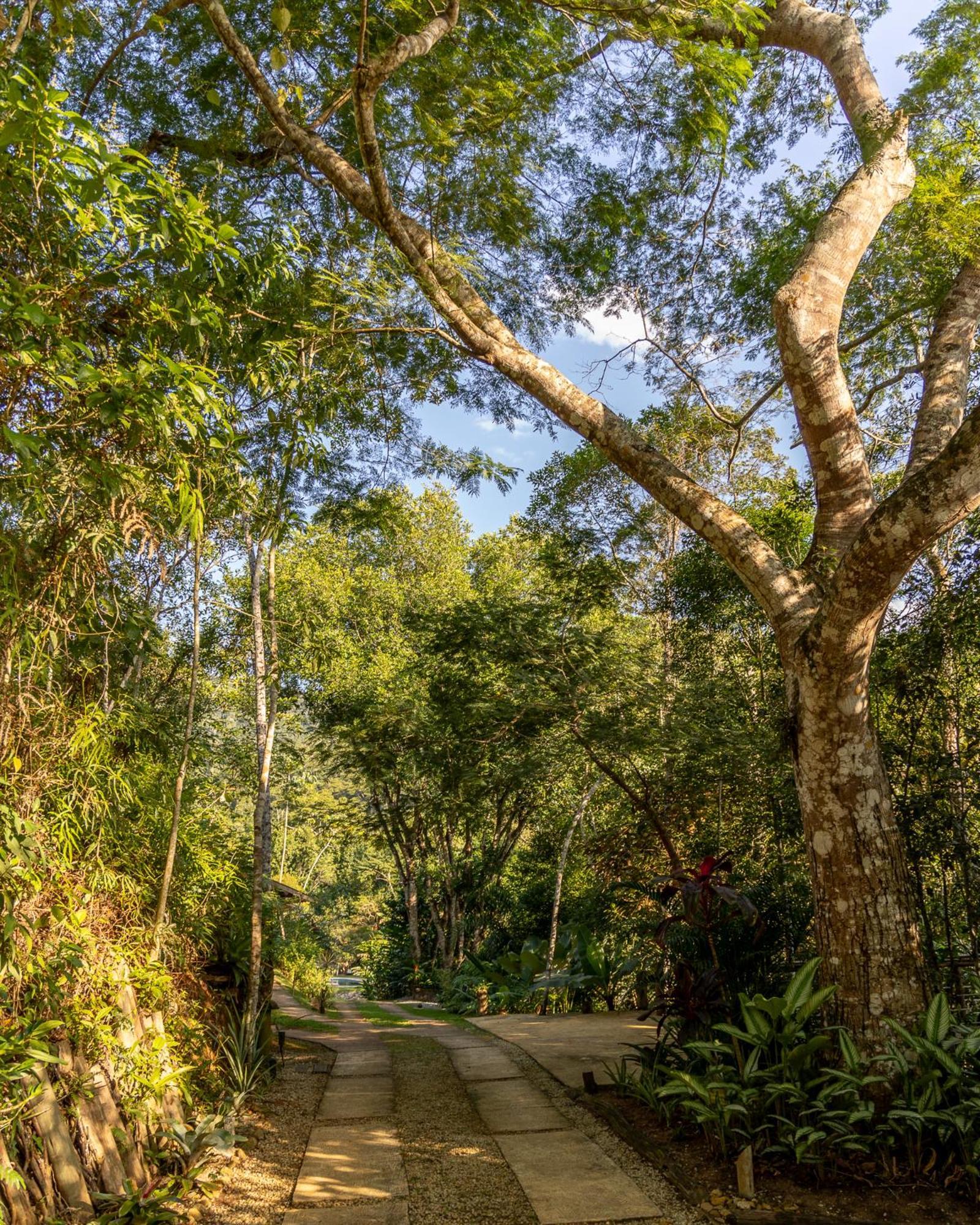 La Luciole Ecolodge Paraty Ngoại thất bức ảnh